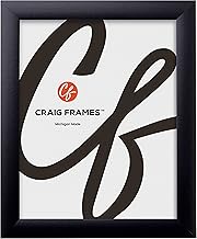 Craig Frames 1WB3BK 19 by 28-Inch Picture/Poster Frame, Smooth Finish, 1-Inch Wide, Matte Black