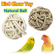 Bird Chew Toy Ball for Parrots – Bite & Training Toy for Lovebird, Budgie, Parakeet Cage Accessories