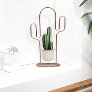 Plant Stand Indoor, 5.5 inch Indoor Plant Pots, Metal Cactus, Planters for Cacti, Cacti Plants Live, Cactus Plant, Indoor Cactus, Succulents, Corner, Garden Flowers, Table Top, Office£¬Home Decor