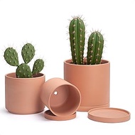 D'vine Dev Terracotta Pots for Plants, 6.5 Inch 7.8 Inch 9.6 Inch, Round Cylinder Planter Pot with D