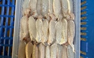 【澎湖海鮮直送 蟹管肉(中大)x1盒 (150g/盒)】扁蟹螃蟹腳肉肥美鮮甜 自家船隊捕撈就是鮮