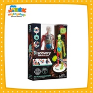 Discovery Mindblown 3D Human Anatomy Kit