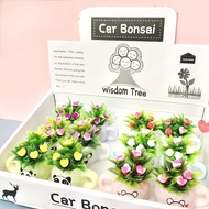 Bonsai Mini Car Bonsai ต้นไม้ประดับพุ่มไม้ตกแต่งWisdom Tree