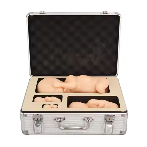 Male Fetal Model, Silicon Model, Full-term Fetal Delivery Process Model
