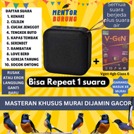 Masteran Mp3 Khusus Burung Murai Batu Air Betina Pikatan Borneo Hutan Trotolan Burung Kicau Suara Je