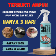 Obat Scabies Anti Jamur Kudis Kurap Koreng Gatal Luka Telor Telur Kutu Bulu Rontok Kulit untuk Pada 