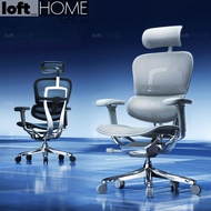 Modern Mesh  Ergonomic Office Chair Grey Frame With Legrest ERGOHUMAN E2