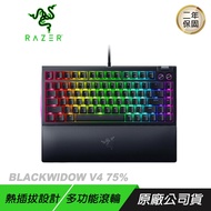 Razer 雷蛇 BlackWidow V4 75% 黑寡婦V4 黑色 熱插拔機械鍵盤 橘軸 中文