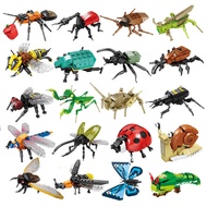 Kaizhi 80040-80051 Children's Educational Science Educational Cognitive Insect Ocean Model Creative 