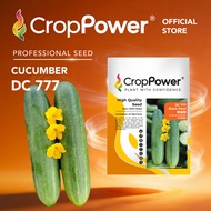 (10 GRAM) Biji Benih Timun Black Steel 铁金刚 DC777 CROP POWER F1 Hybrid Cucumber Seeds 黄瓜种子 DC 777