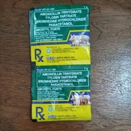 AMOXITYL FORTE 7GRAMS