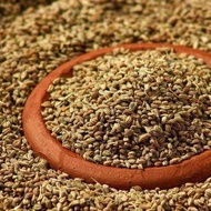 Carom Seeds/biji karom/香芹籽/Ajwain