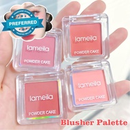 Brighten Face Blush Palette Face Contouring Soft Face Cheek Tint Blusher Rouge Natural Cheek J6C6