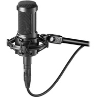 Audio Technica 20 Series - AT2050 Multi-Pattern Condenser Microphone