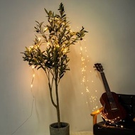 5米10米派對專業燈串|5M, 10M Xmas Lighting Strips, Party Decoration LED Lightings [Christmas decoration, Chri