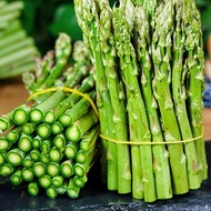 Biji asparagus adalah raja sayur-sayuran yang ditanam pada semua musim.Biji asparagus hijau yang diimport adalah benih s