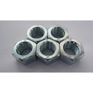 Galvanized Thread Nut Nut Left m4-m30 Nut Thread Reverse Nut Reverse Thread Nut Hex Left Screw WP9N