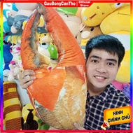 Gấu Bông 3D Càng Cua Y Như Thật - Quà Tặng Độc Lạ