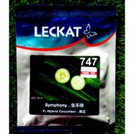 F1 Hybrid Cucumber Symphony GWG Seed Leckat 747 20gram Benih Timun Batang Premium Banyak Buah