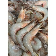 (DRIFT NET) Wild Caught BIG White Prawn 放网本地新鲜大明虾 400G
