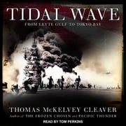 Tidal Wave Thomas McKelvey Cleaver
