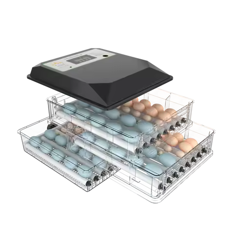 2026 New 192 Mini Egg Incubator Hatching Machine Automatic Dual Voltage 98% Hatching Rate Home Use P