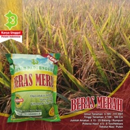 Bibit Padi Beras Merah