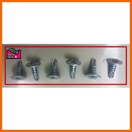 (PER BOX) Pan Head Self Tapping Screw / Job Screw