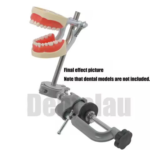 Dental Typodont Teeth Model Compatible Kilgore NISSIN 200 Type Removable Preparation Teeth 32Pcs M80