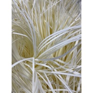 Fion | High-Quality Beige Paper Silk 120lbs-Art Paper Silk/Filling/Filling Paper Silk/Anti-Collision