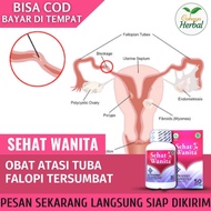 Obat Alami untuk Penyumbatan Toba Falopi Obat Tuba Falopi Tersumbat Obat Penghilang Sumbatan Tuba Fa