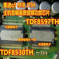 TDF8597TH/N1 TDF8530TH/N2 New Style Audi Q5 J794 Host Power Amplifier Audio Chip