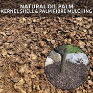 Natural Oil Palm Kernel Shell & Palm Fibre Mulching 10L