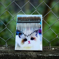 Đàn Kalimba 17 Phím Màu Trắng Khắc Hình Âm Sắc Rõ Ràng Không Tịt Phím Đầy Đủ Phụ Kiện