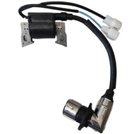 BAHAGIAN PENJANA PETANG LONCIN 3300I COIL T21C MODULA