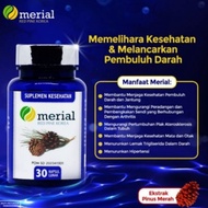 Merial Red Pine Korea Original Obat Hipertensi Kolestrol Herbal BPOM