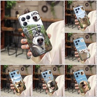 Shockproof Dog Phone Case For Tecno Pova7 Ultra 5G/LJ9 Soft case TPU Anti-knock Anti-dust Card bag F