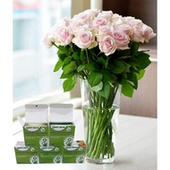 Nutrition Keep Roses plugged in for a long time - Israel (50 packs), Helps Flowers stay fresh 2 time