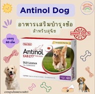 จัดส่งในวันเดียวกัน Antinol DOG ช่วยบำรุงข้อ กระดูก ขน ผิวหนัง และไต(1 กล่อง 60 caps) สำหรับสัตว์เลี้ยง EXP.10/2025