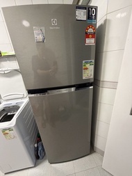 Electrolux 雙門雪櫃（還有保養至26年月24日）：自取只能在3月12或13日