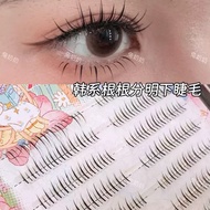 [General Link] Cluster Eyelash Codes, Hottrend Bulu Mata Palsu Eyelash Cluster Eyelash Eyelash Exten