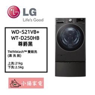 【小揚家電】LG 雙能洗 WD-S21VB + WT-D250HB 新機上市 另售 WD-S21VDB (詢問享優惠)