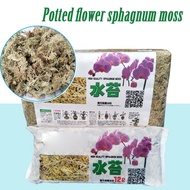 Holiday discounts 12 L Sphagnum Moss Moisturizing Nutrition Organic Fertilizer Protect Orchid Succulent Plant Roots DIY Flower Pot Home Garden