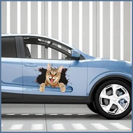 3D Cat Car Sticker 3D Simulation Cute Cat Scratches to Cover The Body Sticker 3D Simulation Cat Scra