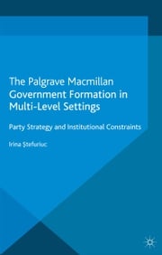 Government formation in Multi-Level Settings I. Stefuriuc