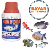 Obat Ikan Penghilang Parasit Jamur Bakteri Gurami Nila Lele Patin Bawal Mas Hiyas Blue Power