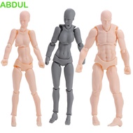 ABDUL Action Figure Comic Anime Figure Man and Woman Human Postures For Artists Figure Model