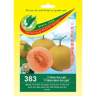 Biji Benih F1 Hibrid Melon Sun Light, F1 Hybrid Melon Manis Sun Light Seeds 383 GE