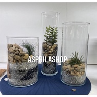 Glass flower vase tube height 28cm 23cm 17cm diameter 8cm 10cm 12cm imported glass flower vase meeah