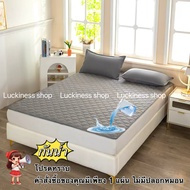 Waterproof Cz4 Mattress Protector Size 6 5 3.5 And 3 Feet Dust Mite Proof (Only Bedsheet Only)
